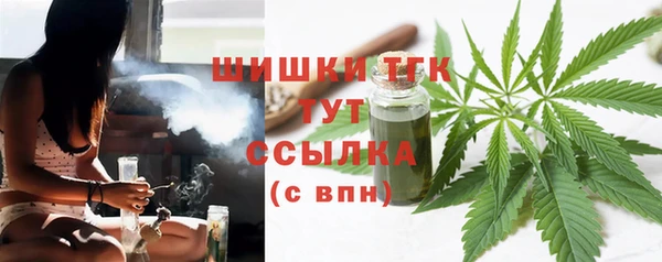 PSILOCYBIN Пересвет