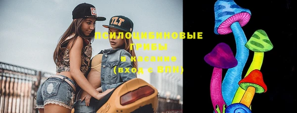 герыч Пестово