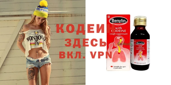 мдпв Гатчина