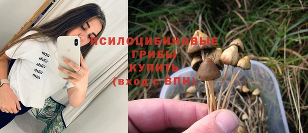 PSILOCYBIN Пересвет