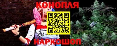 мяу мяу мука Заводоуковск