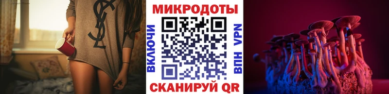 площадка как зайти  Коряжма  Псилоцибиновые грибы Magic Shrooms 